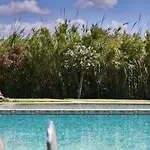 Baia Di Sardinia, Curio Collection By Hilton شيا