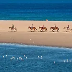 度假村 Baia Di Sardinia, Curio Collection By Hilton 4*