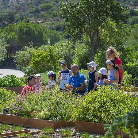 Baia Di Sardinia, Curio Collection By Hilton 5* キア