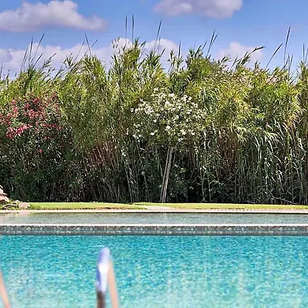 Baia Di Sardinia, Curio Collection By Hilton Chia