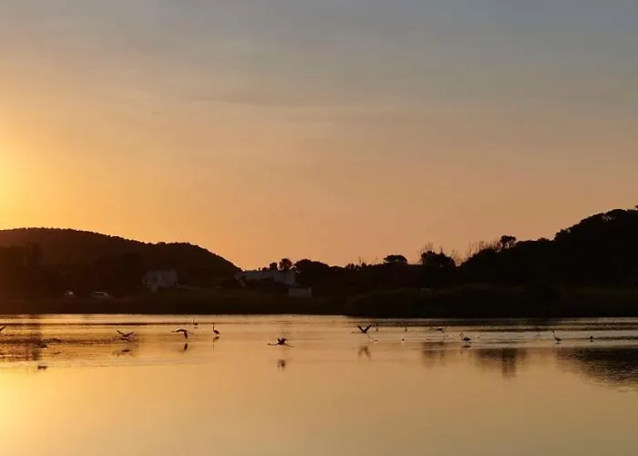 Baia Di Sardinia, Curio Collection By Hilton Chia